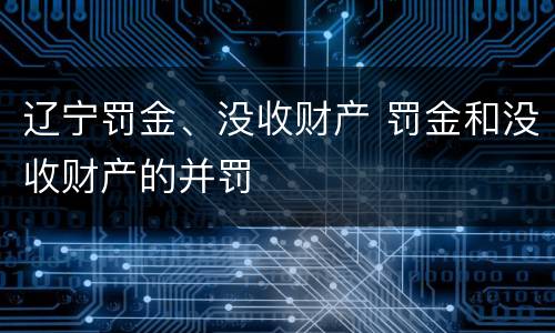 辽宁罚金、没收财产 罚金和没收财产的并罚
