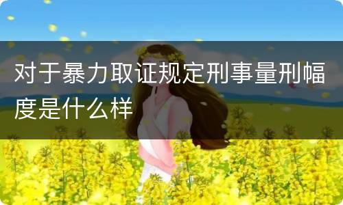 对于暴力取证规定刑事量刑幅度是什么样