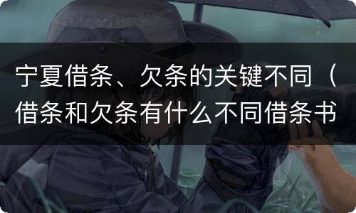 宁夏借条、欠条的关键不同（借条和欠条有什么不同借条书写）