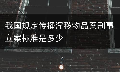 我国规定传播淫秽物品案刑事立案标准是多少