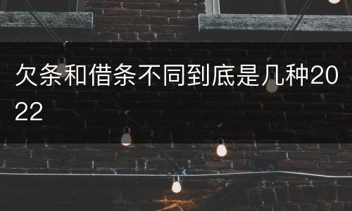 欠条和借条不同到底是几种2022