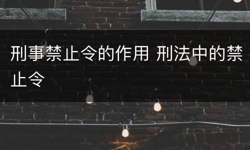 刑事禁止令的作用 刑法中的禁止令