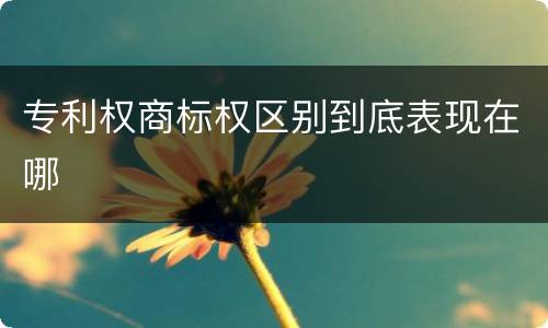 专利权商标权区别到底表现在哪