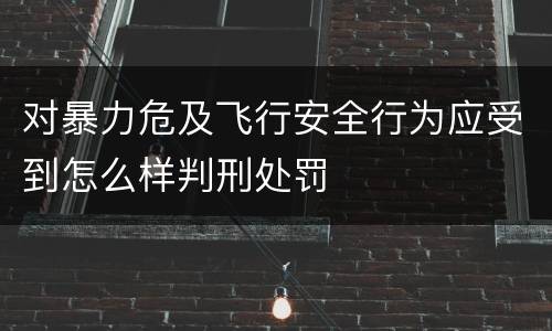 对暴力危及飞行安全行为应受到怎么样判刑处罚