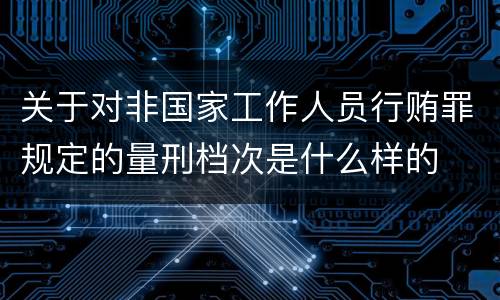 关于对非国家工作人员行贿罪规定的量刑档次是什么样的