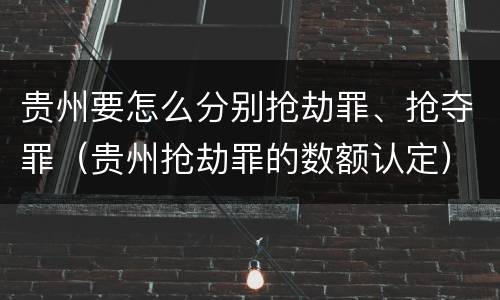 贵州要怎么分别抢劫罪、抢夺罪（贵州抢劫罪的数额认定）