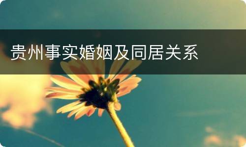 贵州事实婚姻及同居关系