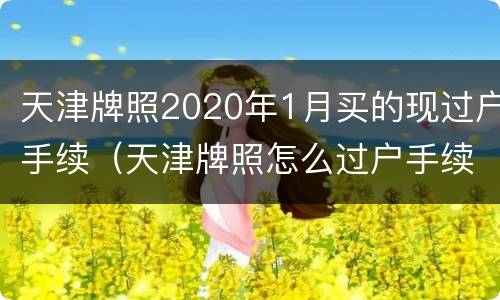 天津牌照2020年1月买的现过户手续（天津牌照怎么过户手续）