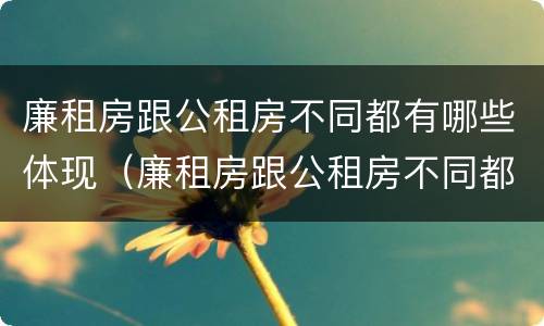 廉租房跟公租房不同都有哪些体现（廉租房跟公租房不同都有哪些体现呢）