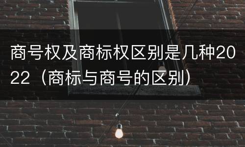 商号权及商标权区别是几种2022（商标与商号的区别）