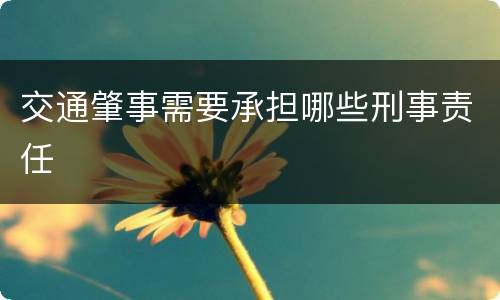 交通肇事需要承担哪些刑事责任
