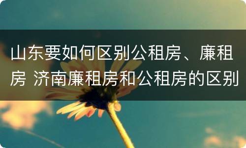山东要如何区别公租房、廉租房 济南廉租房和公租房的区别