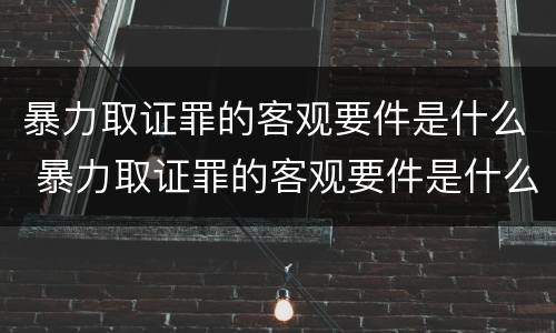 暴力取证罪的客观要件是什么 暴力取证罪的客观要件是什么
