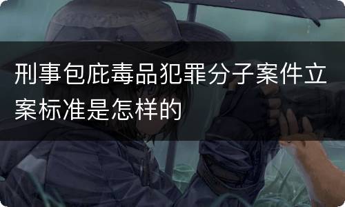 刑事包庇毒品犯罪分子案件立案标准是怎样的