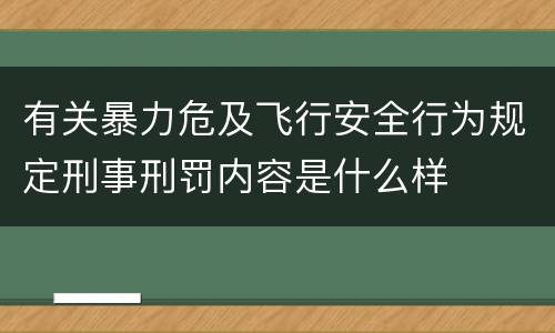 有关暴力危及飞行安全行为规定刑事刑罚内容是什么样