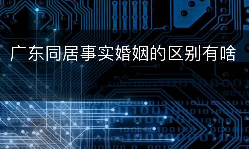 广东同居事实婚姻的区别有啥