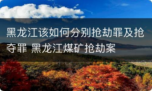 黑龙江该如何分别抢劫罪及抢夺罪 黑龙江煤矿抢劫案