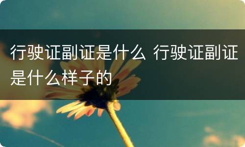 行驶证副证是什么 行驶证副证是什么样子的