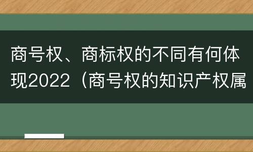 商号权、商标权的不同有何体现2022（商号权的知识产权属性）