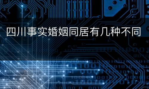 四川事实婚姻同居有几种不同