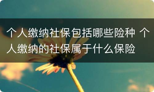 个人缴纳社保包括哪些险种 个人缴纳的社保属于什么保险