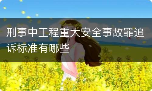 刑事中工程重大安全事故罪追诉标准有哪些