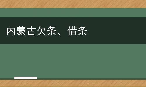 内蒙古欠条、借条