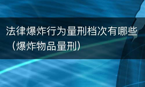 法律爆炸行为量刑档次有哪些（爆炸物品量刑）