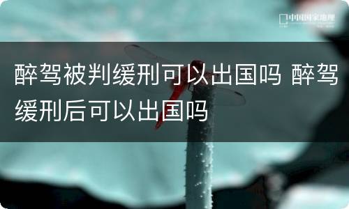 醉驾被判缓刑可以出国吗 醉驾缓刑后可以出国吗