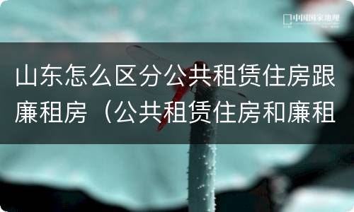 山东怎么区分公共租赁住房跟廉租房（公共租赁住房和廉租住房的区别）