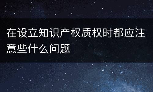 在设立知识产权质权时都应注意些什么问题