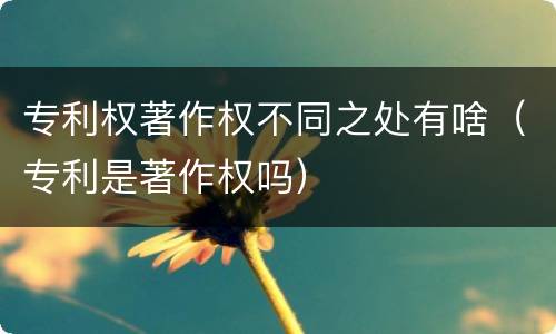 专利权著作权不同之处有啥（专利是著作权吗）