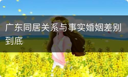 广东同居关系与事实婚姻差别到底