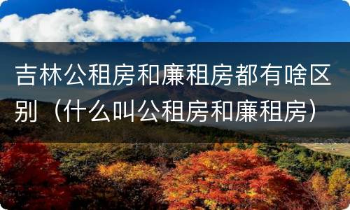 吉林公租房和廉租房都有啥区别（什么叫公租房和廉租房）