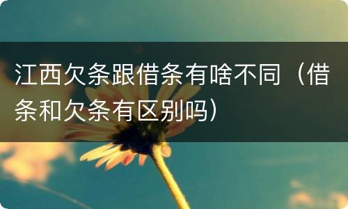 江西欠条跟借条有啥不同（借条和欠条有区别吗）