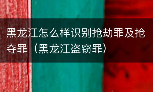 黑龙江怎么样识别抢劫罪及抢夺罪（黑龙江盗窃罪）