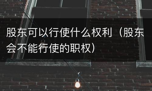 股东可以行使什么权利(股东会不能行使的职权)