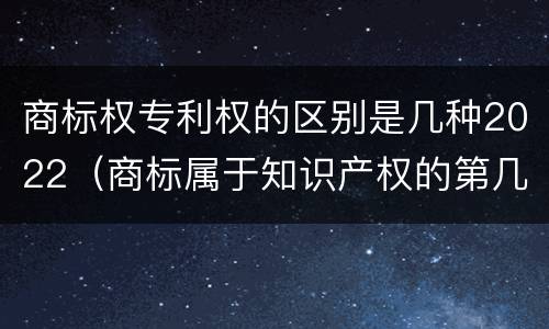 商标权专利权的区别是几种2022（商标属于知识产权的第几类）