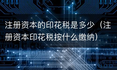 注册资本的印花税是多少（注册资本印花税按什么缴纳）