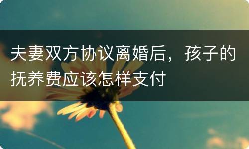 夫妻双方协议离婚后，孩子的抚养费应该怎样支付