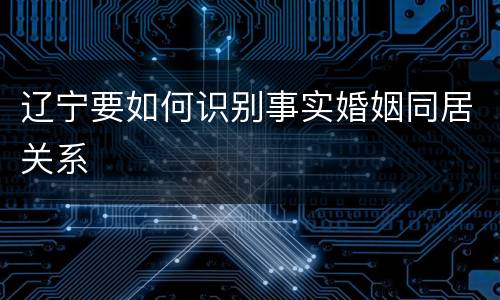 辽宁要如何识别事实婚姻同居关系