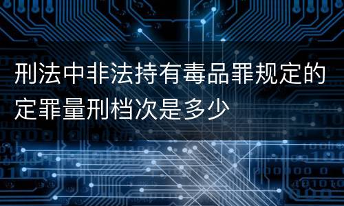 刑法中非法持有毒品罪规定的定罪量刑档次是多少