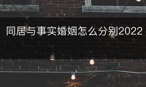 同居与事实婚姻怎么分别2022