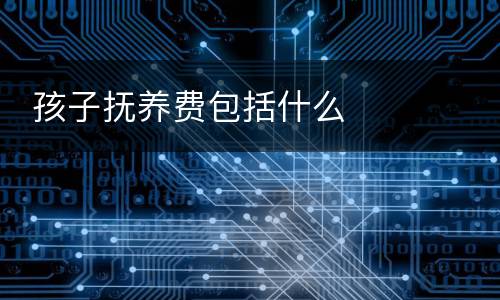  孩子抚养费包括什么