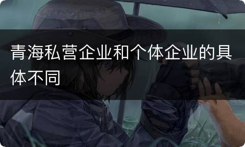 青海私营企业和个体企业的具体不同