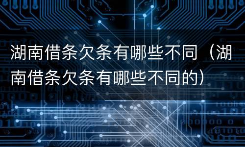 湖南借条欠条有哪些不同（湖南借条欠条有哪些不同的）