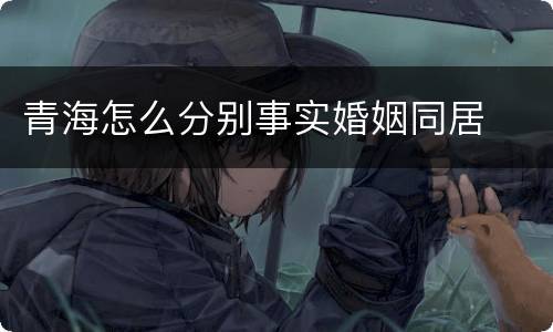 青海怎么分别事实婚姻同居