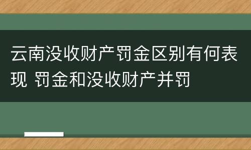 云南没收财产罚金区别有何表现 罚金和没收财产并罚