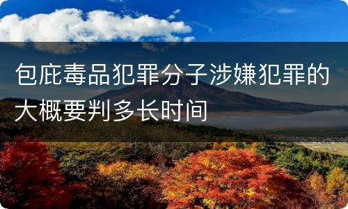 包庇毒品犯罪分子涉嫌犯罪的大概要判多长时间