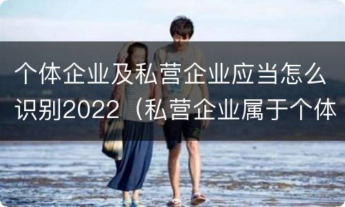 个体企业及私营企业应当怎么识别2022（私营企业属于个体经营吗）